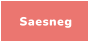 Saesneg